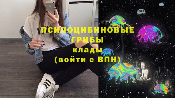 спайс Алзамай